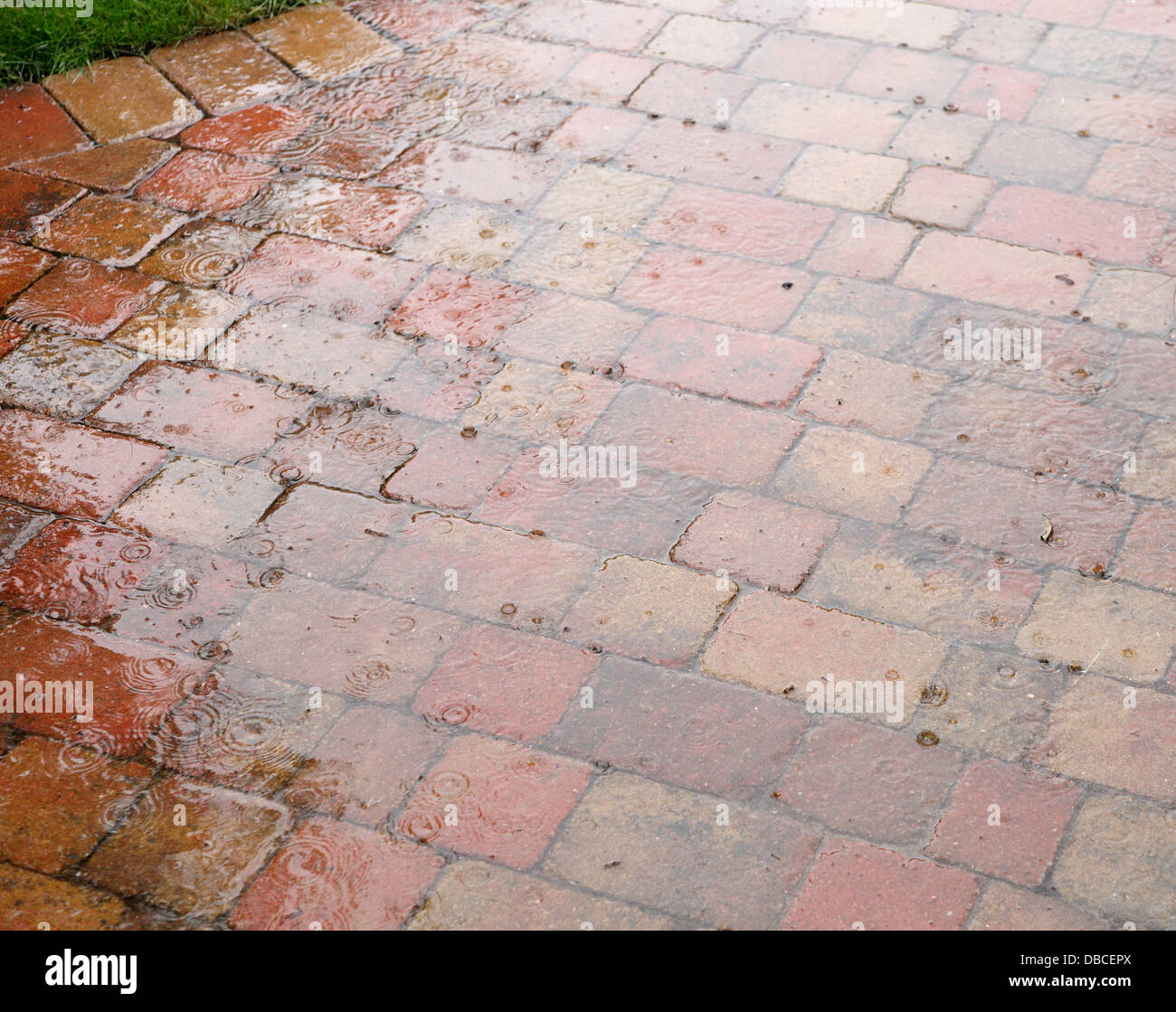 De lourdes gouttes éclaboussant sur brique rouge rustique patio ouvrant sur UK jardin avec joints poreux agissant comme soakaway l'eau de surface Banque D'Images