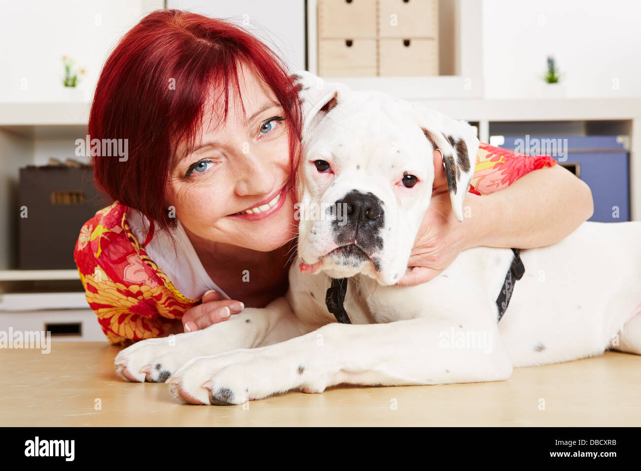 Femme heureuse avec un jeune chien boxer albinos dans son bureau Banque D'Images