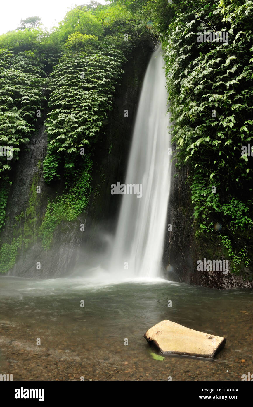 Cascade de Munduk, Bali, Indonésie, Asie Banque D'Images