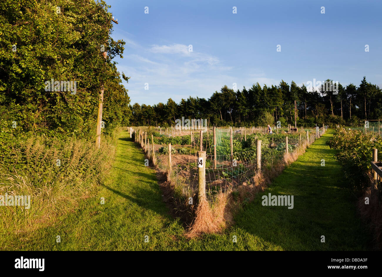 Attribution près du superbe grange, Meknès, comté de Kildare, Irlande Banque D'Images