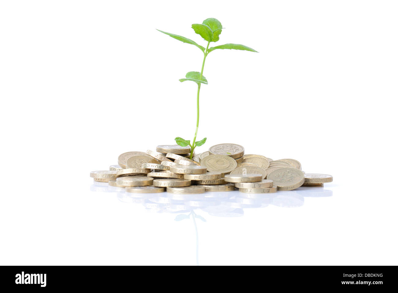 Nouveau concept de la croissance monétaire en herbe une plante poussant dans les pièces isolées sur fond blanc Banque D'Images