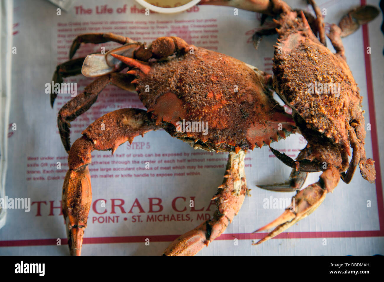 Dîner crabe servi dans un restaurant à Saint Michaels, Maryland. Banque D'Images