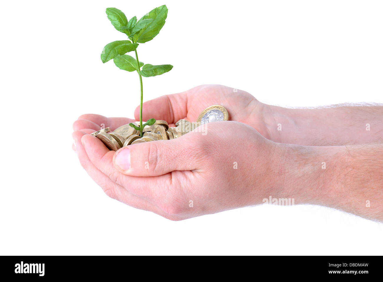 Mains tenant un tas de pièces de monnaie avec une plante poussant hors d'eux, concept de l'expansion monétaire, isolé sur fond blanc Banque D'Images