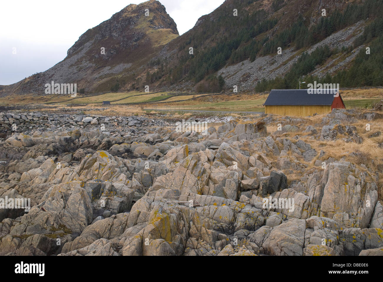 Coût de l'est doux l'île aux oiseaux Runde à la mi-printemps, Norvège Banque D'Images