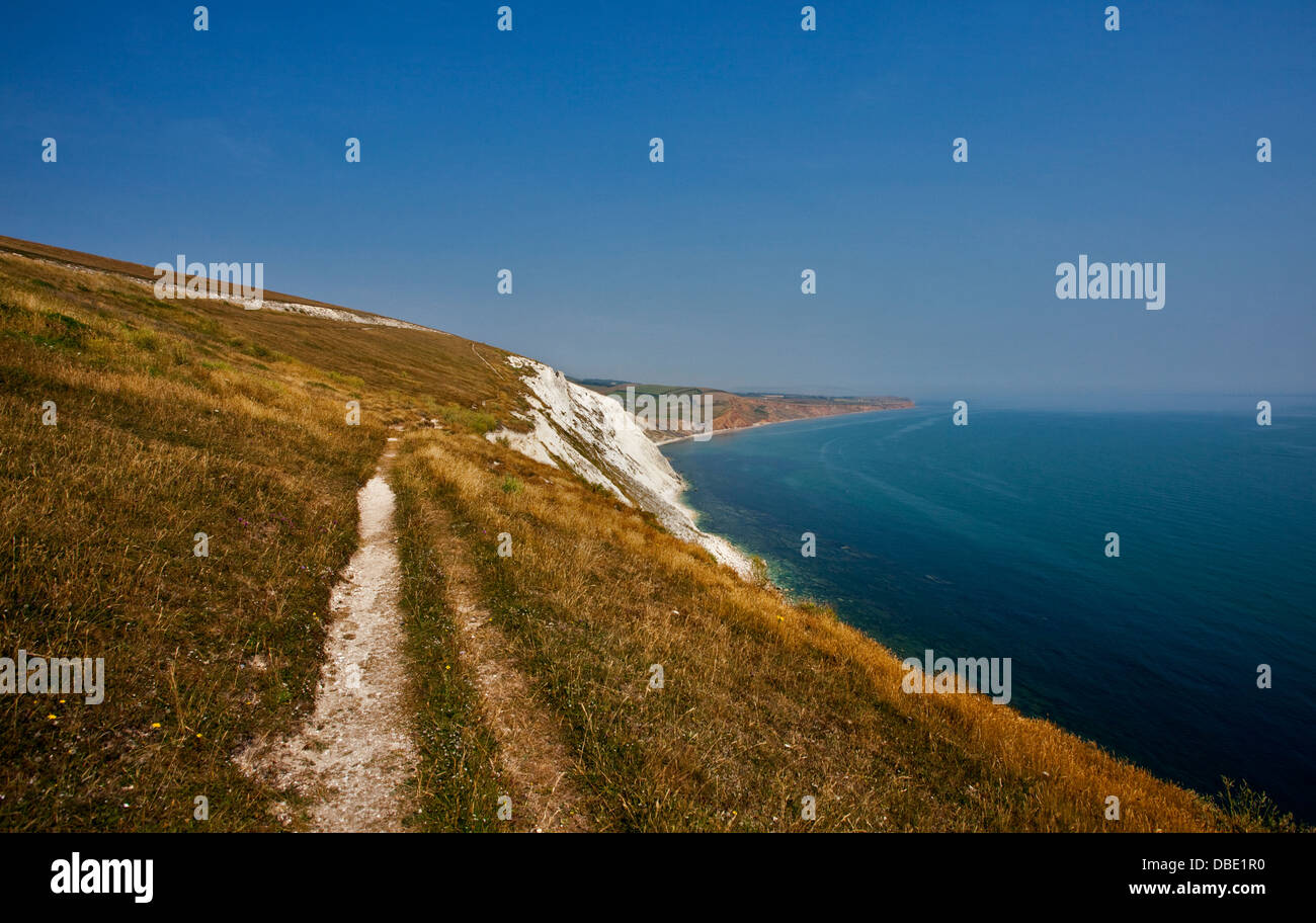 Le sentier du Littoral à Compton Bay, près de Freshwater Bay, île de Wight, Hampshire, Angleterre Banque D'Images