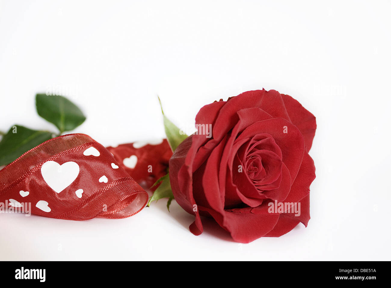 Rose rouge avec des coeurs blancs arc rouge sur fond blanc,découpe,amour, romantique,poétique encore,life,flower,creative,photographie,image Photo  Stock - Alamy