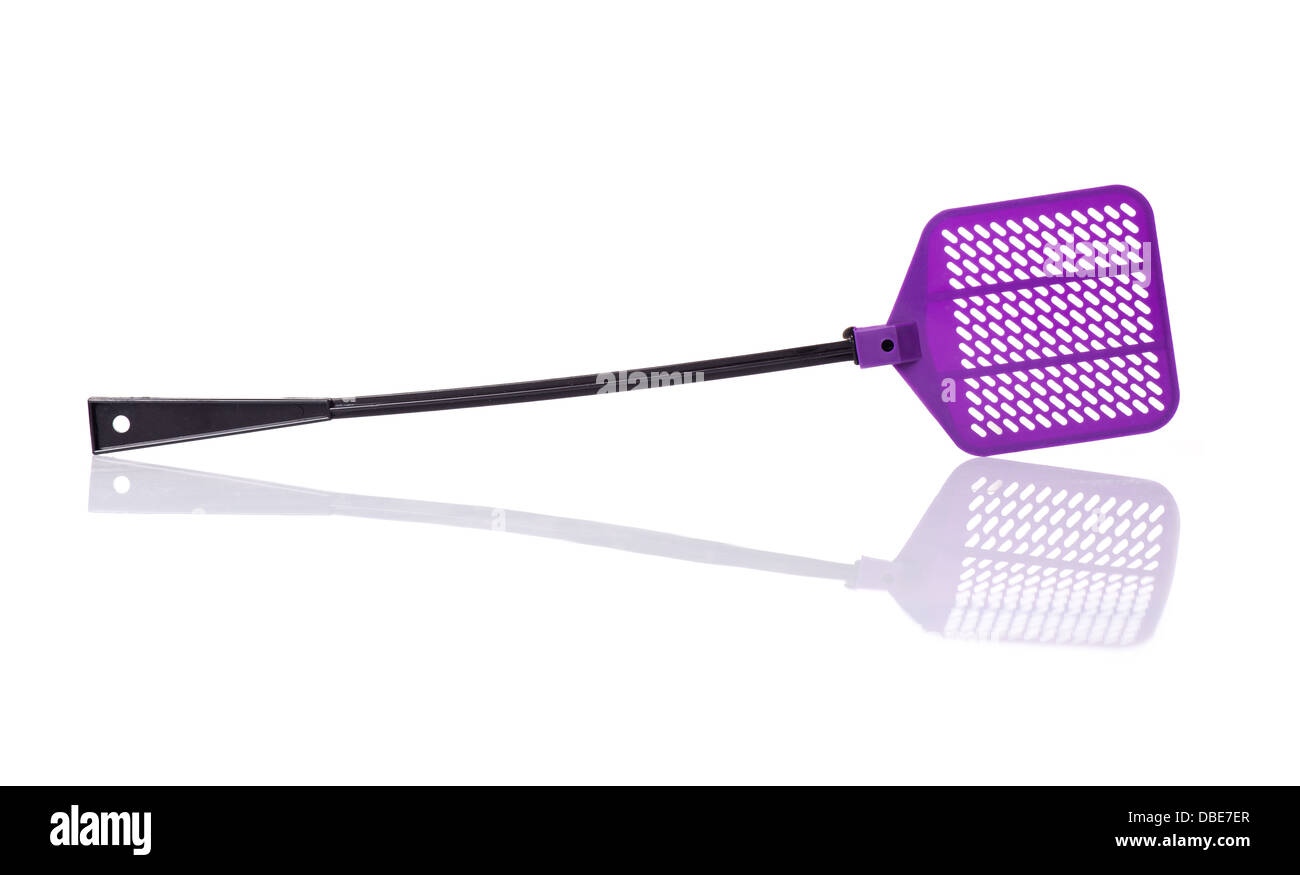 Purple flyswatter isolated on white Banque D'Images