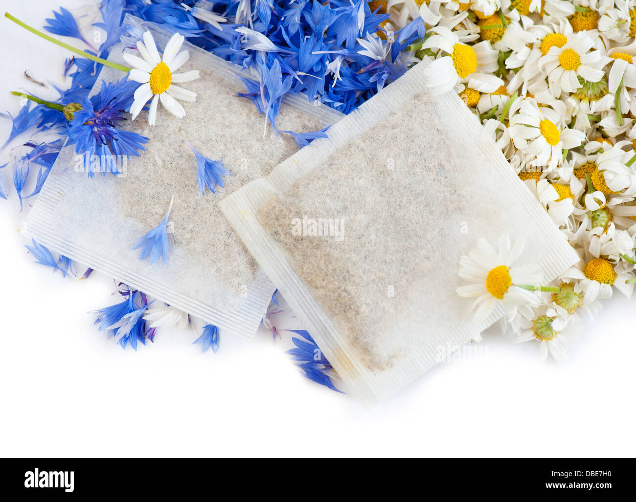 La camomille avec sachets de tisane bleuet Banque D'Images