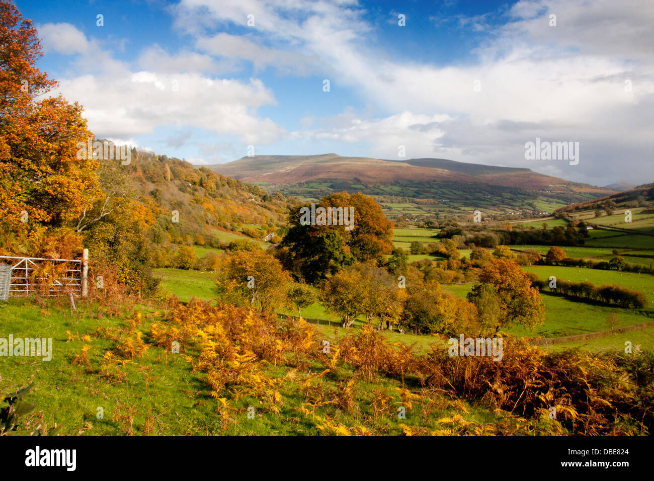 Vue d'automne à partir de la Montagne Noire, près de Brecon Beacons National Park Bwlch Powys Pays de Galles UK Banque D'Images