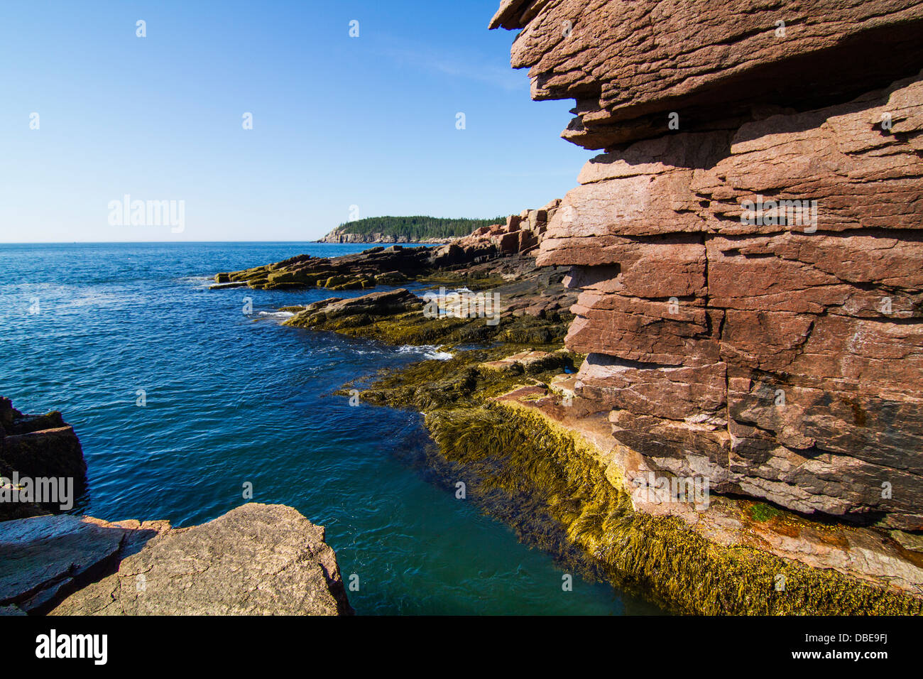 Thunder hole en Acadie, Park Loop Road, l'Acadia National Park, Maine Banque D'Images