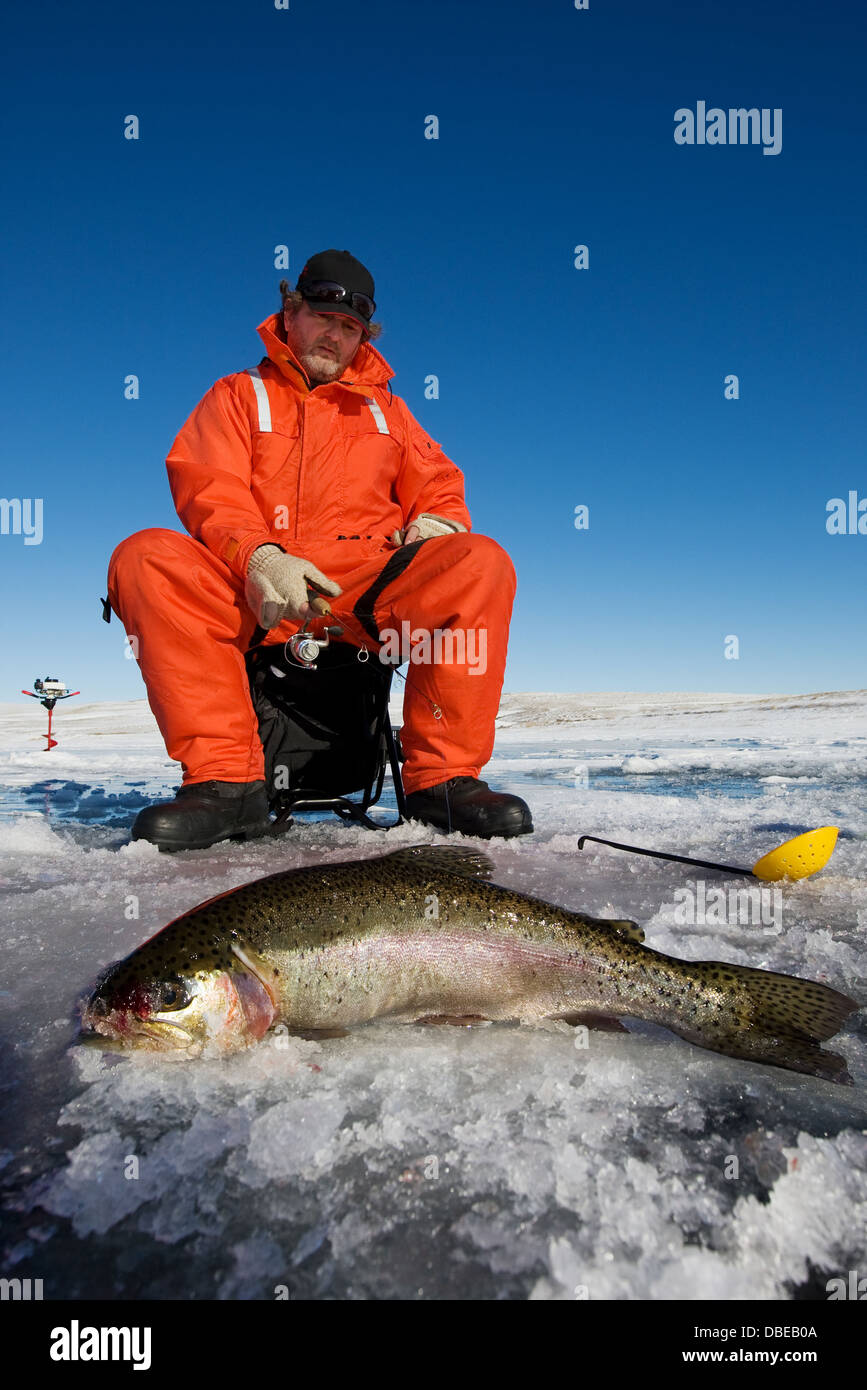 Pêcheur sur glace avec une grosse truite arc-en-ciel sur la glace Banque D'Images