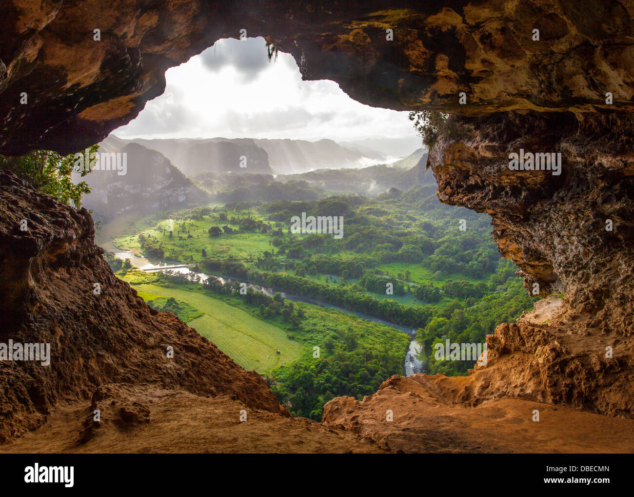 Vue depuis l'intérieur de la grotte Cueva Ventana (Fenêtre) près d'Arecibo, Puerto Rico Banque D'Images