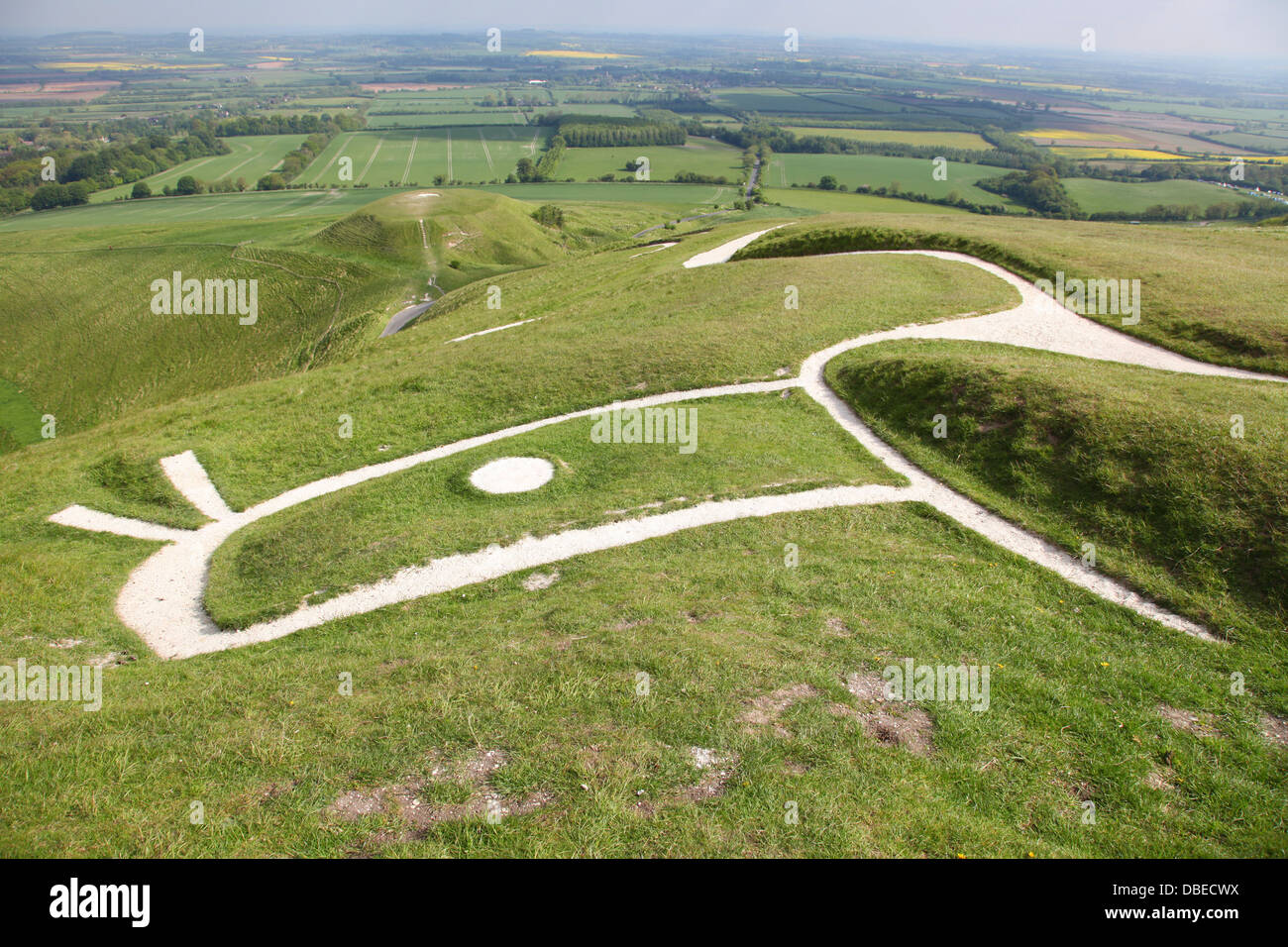 , Uffington White Horse Hill Banque D'Images