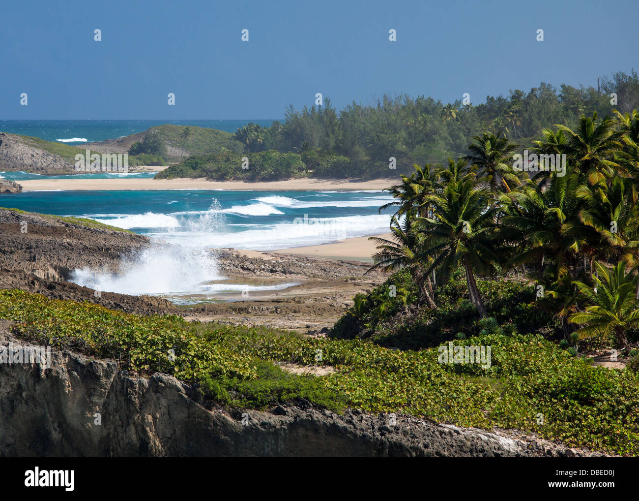 Plages de Punta Palmas Altas sur la côte nord de Puerto Rico. Banque D'Images