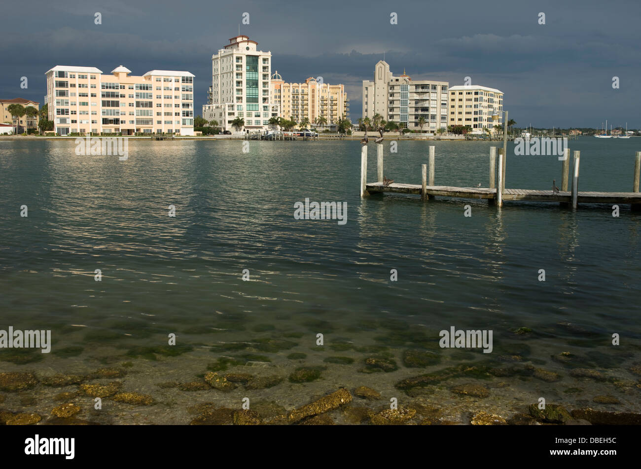 BAYFRONT DRIVE SKYLINE CENTRE-VILLE DE SARASOTA Florida Gulf Coast USA Banque D'Images