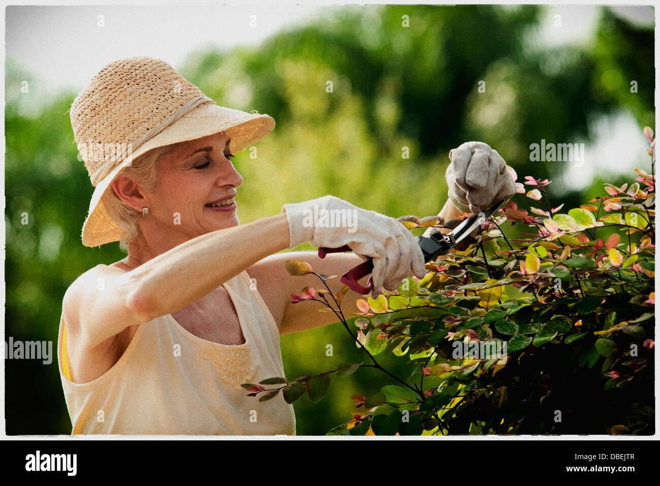 Femme plus âgée à l'extérieur de jardinage - Image de stock capturée avec un smartphone