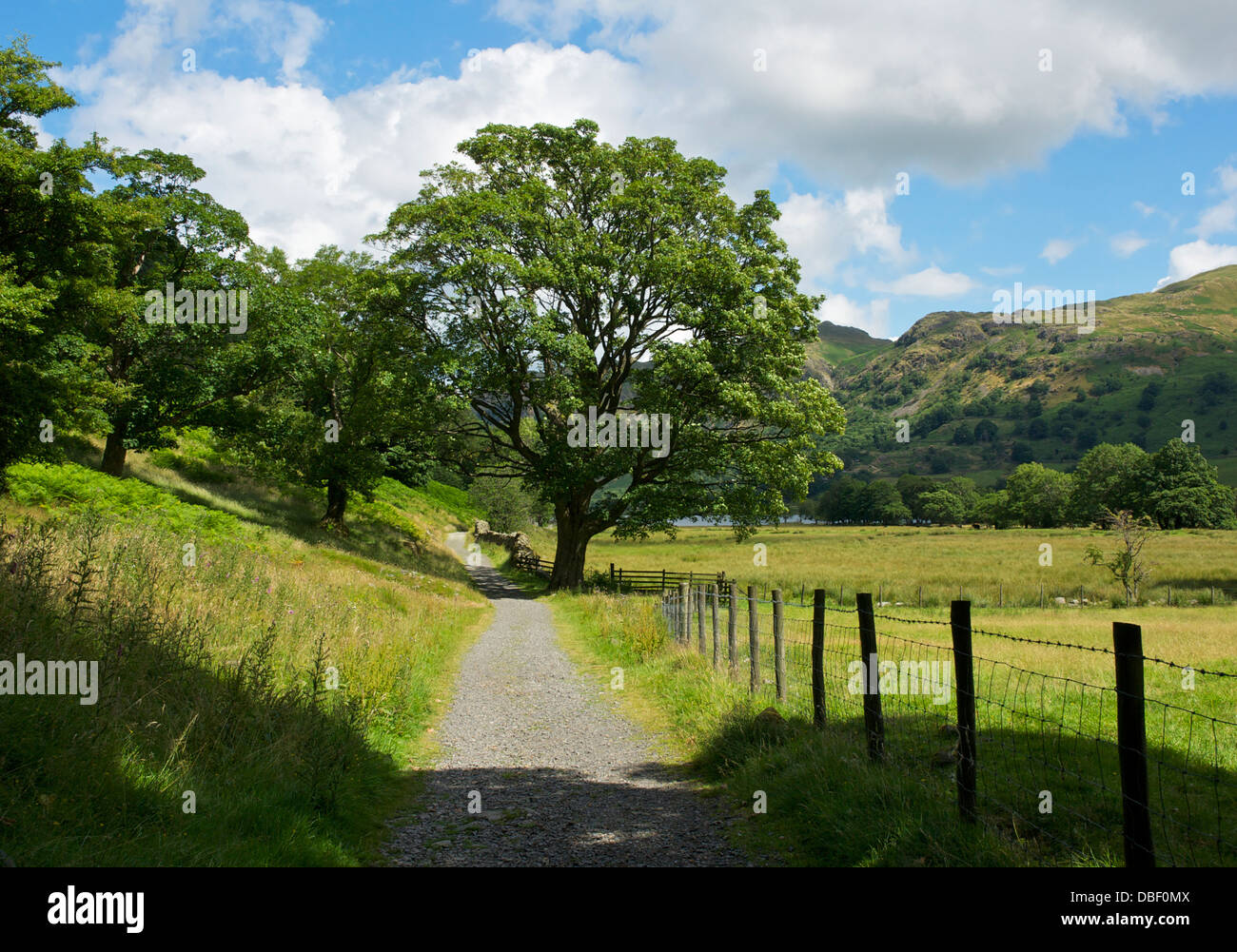 Chemin d'Brotherswater, Parc National de Lake District, Cumbria, Angleterre, Royaume-Uni Banque D'Images