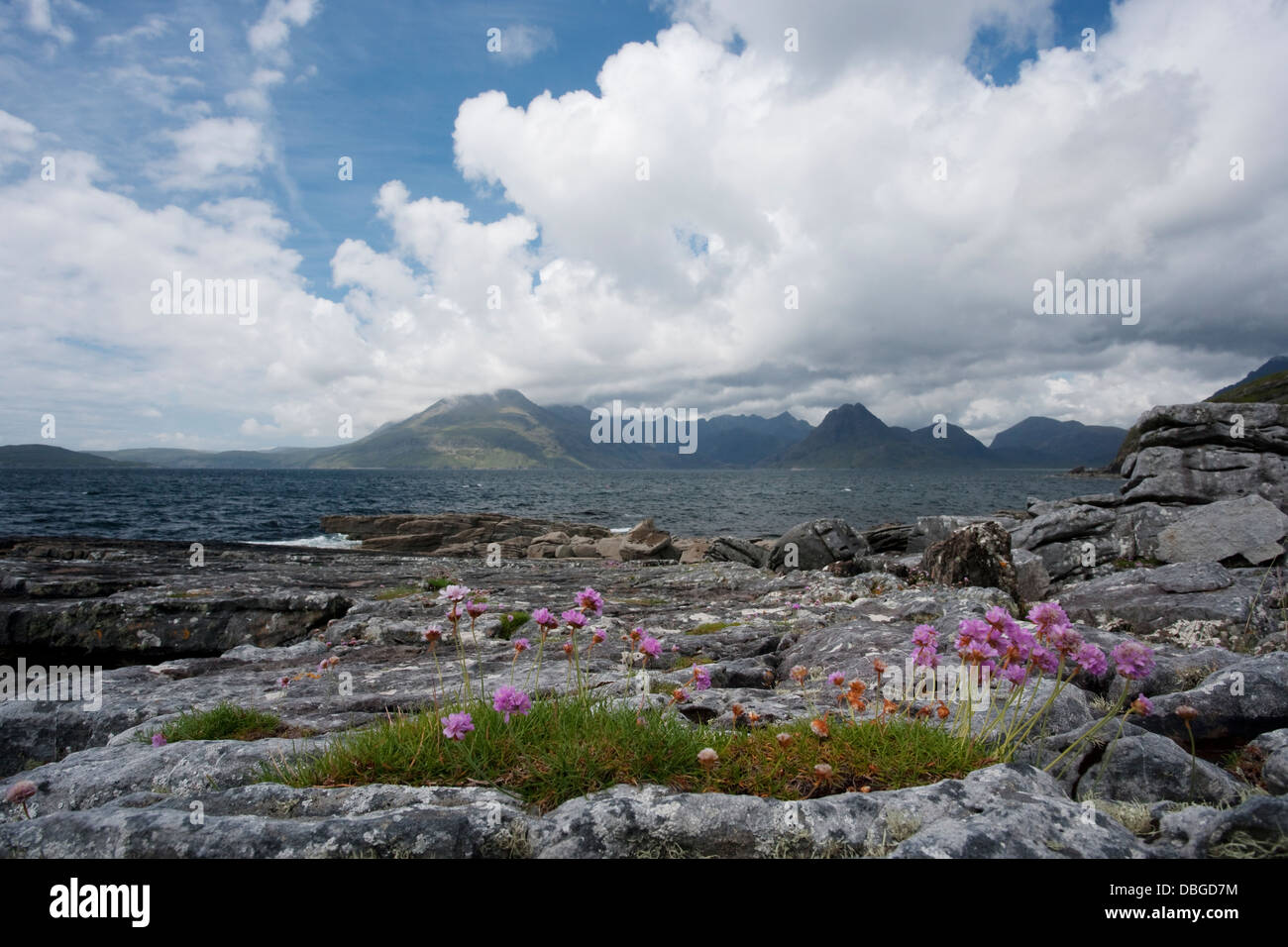 Cullins depuis Elgol Beach Île de Skye, Écosse, Royaume-Uni Hébrides intérieures LA006255 Banque D'Images