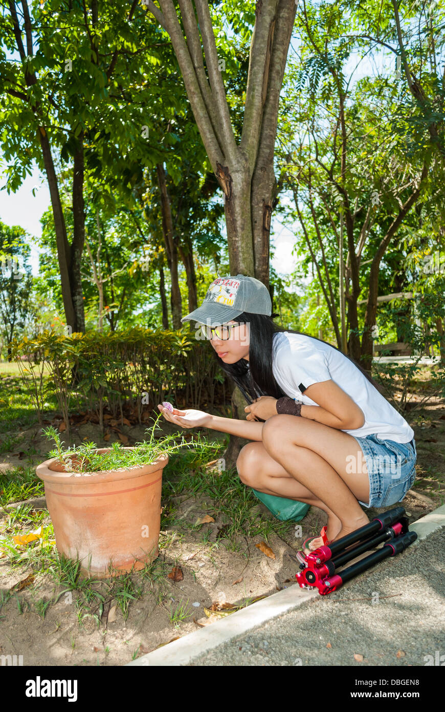 Asian Thai Girl Admiring fleur rose en parc. Banque D'Images