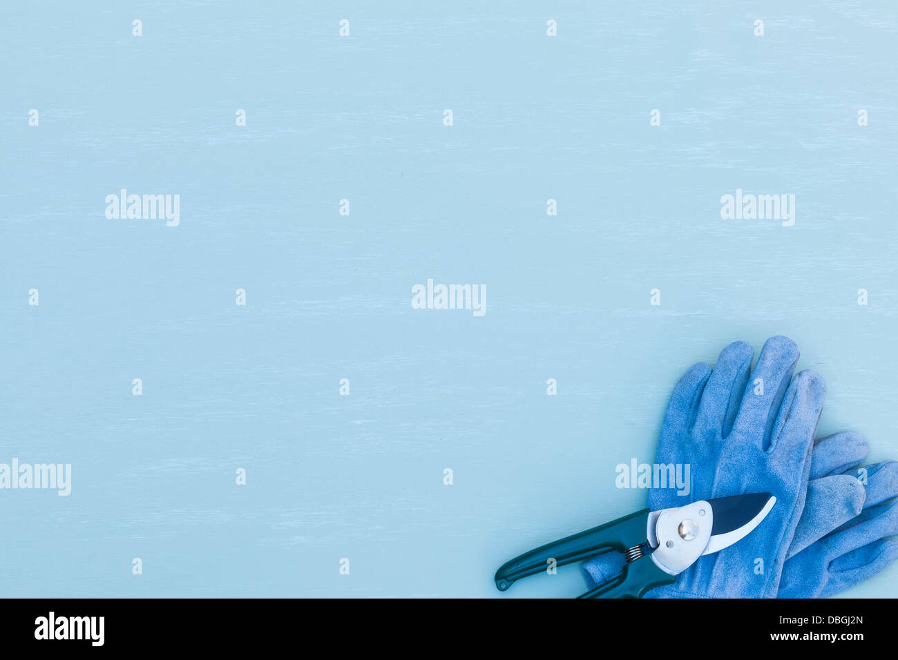 Sécateur avec des gants de jardinage Banque D'Images