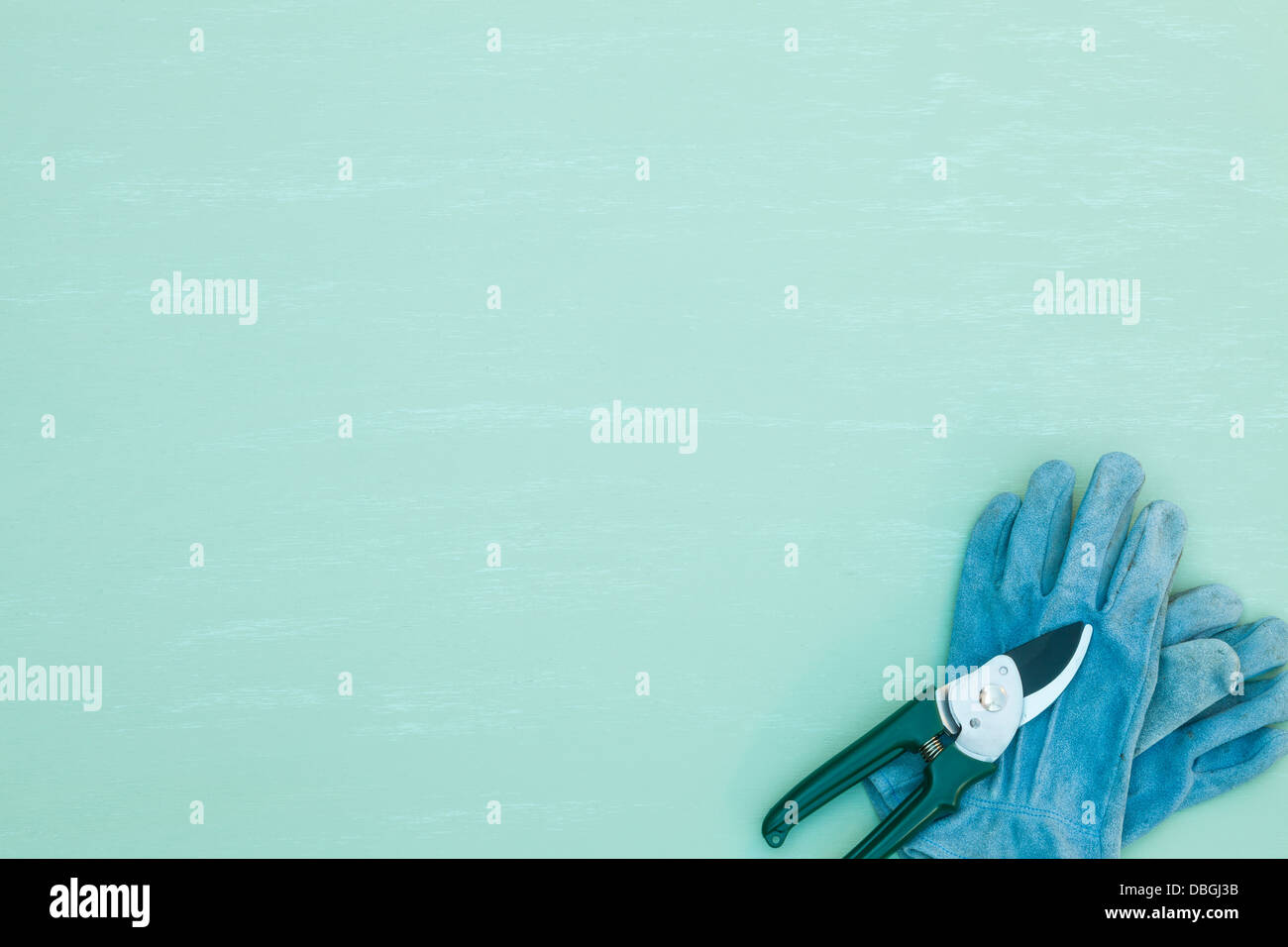 Sécateur avec des gants de jardinage Banque D'Images