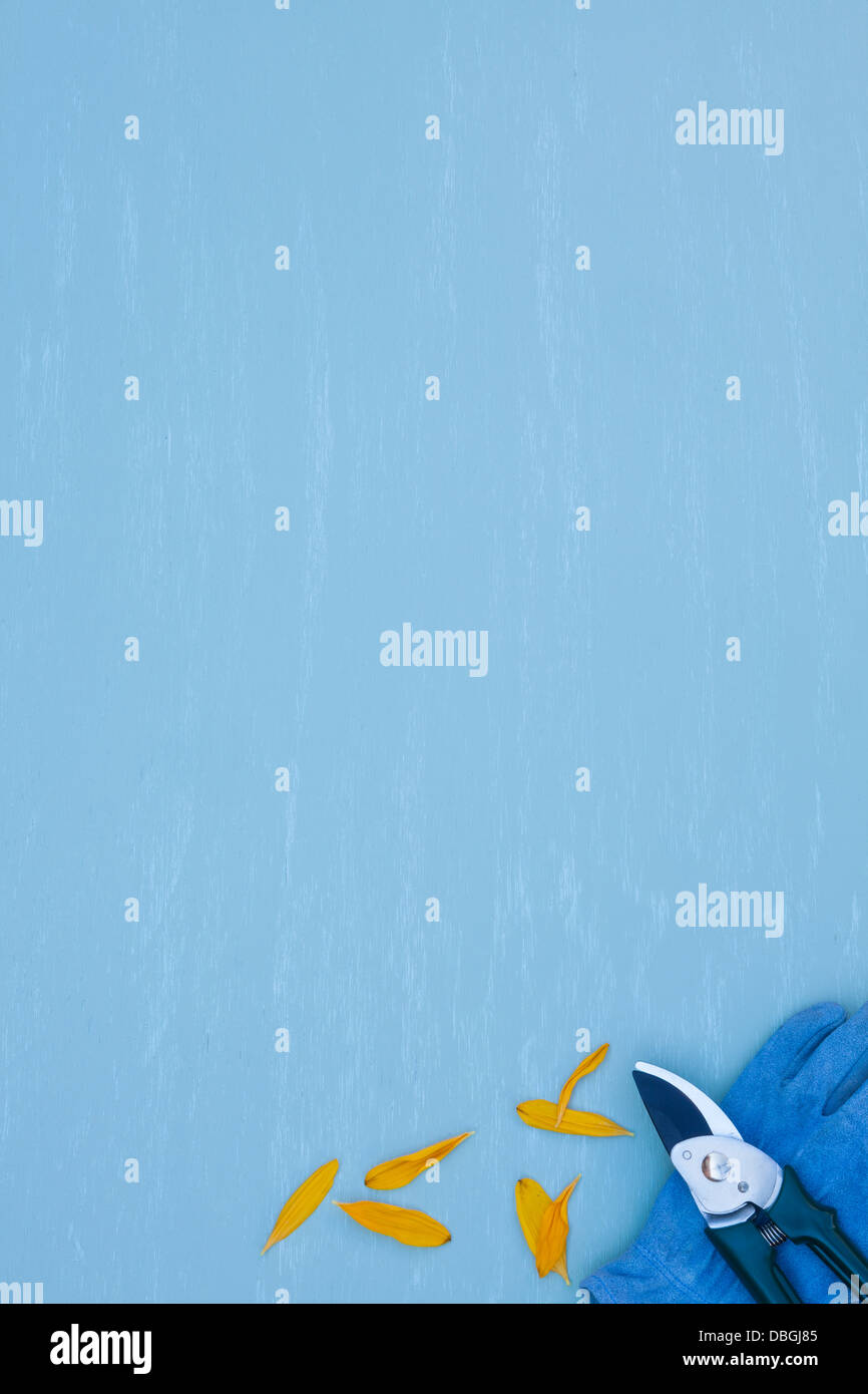 Sécateur avec pétales de tournesol et des gants de jardinage Banque D'Images