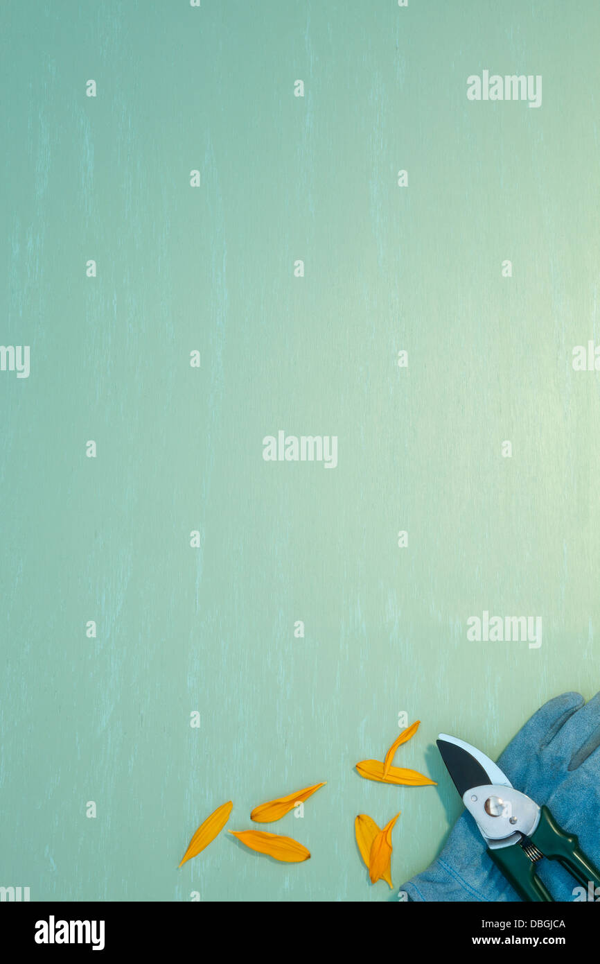 Sécateur avec pétales de tournesol et des gants de jardinage Banque D'Images