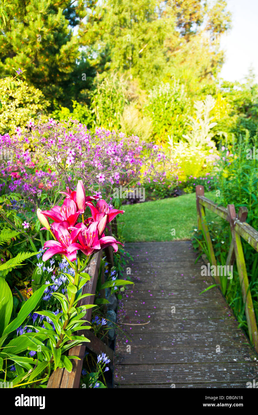 Plantes Fleurs jardin typiquement anglais lilly lily développe à côté du  pont en bois menant au jardin de Photo Stock - Alamy