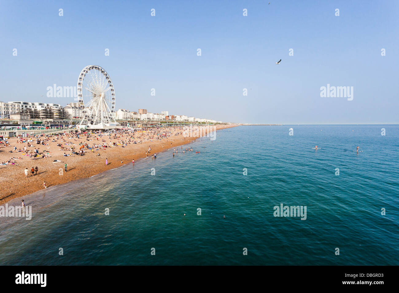 Vu de la plage de Brighton Pier, England, UK Banque D'Images