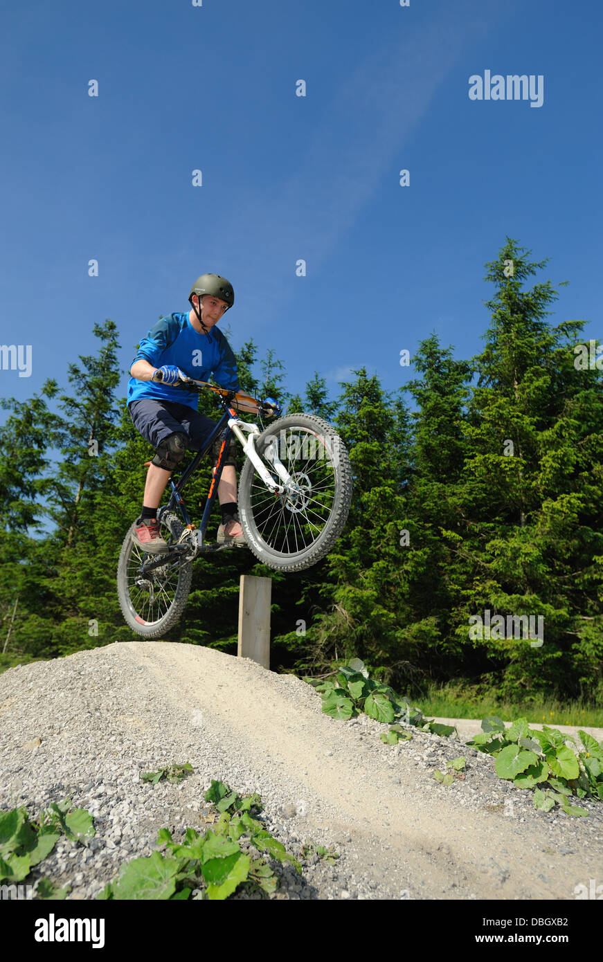 Du vélo de montagne à Gisburn Forest Banque D'Images