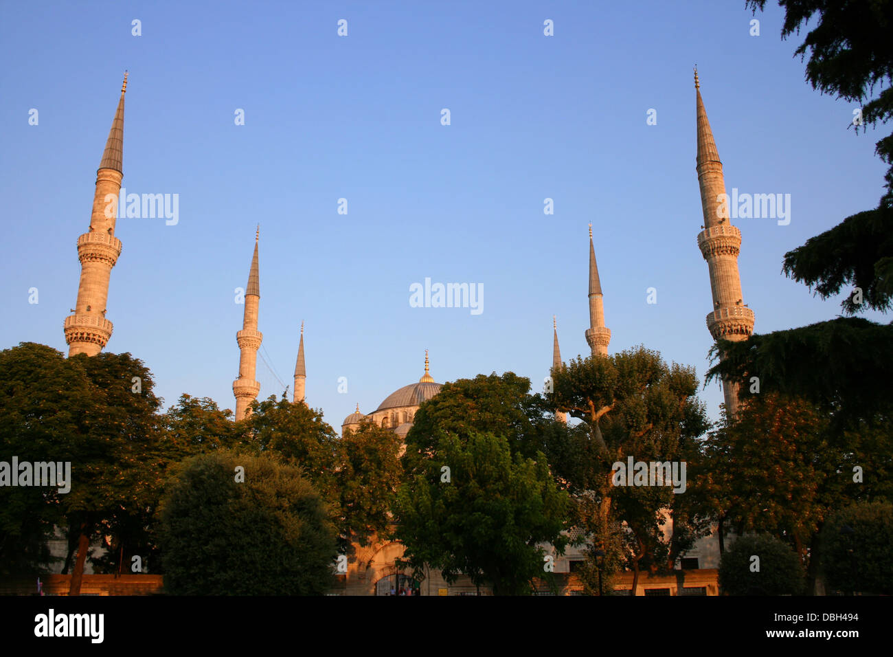 Mosquée bleue historique pendant le coucher du soleil à Istanbul, Turquie Banque D'Images