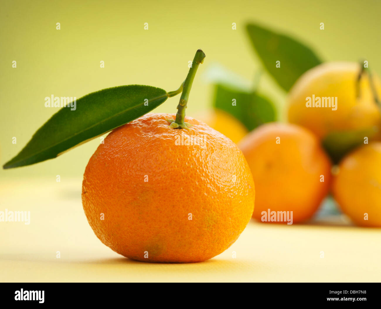 Mandarines mûres avec des feuilles Banque D'Images