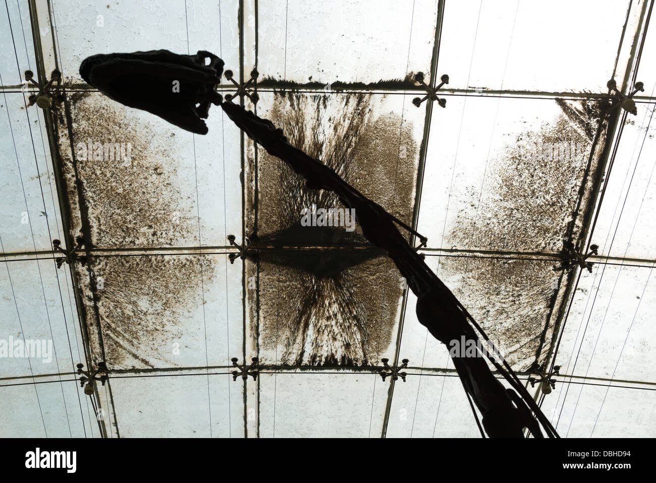 Le Gansu Provincial Museum, Lanzhou, Chine. Détail d'un squelette de dinosaure au musée. Banque D'Images