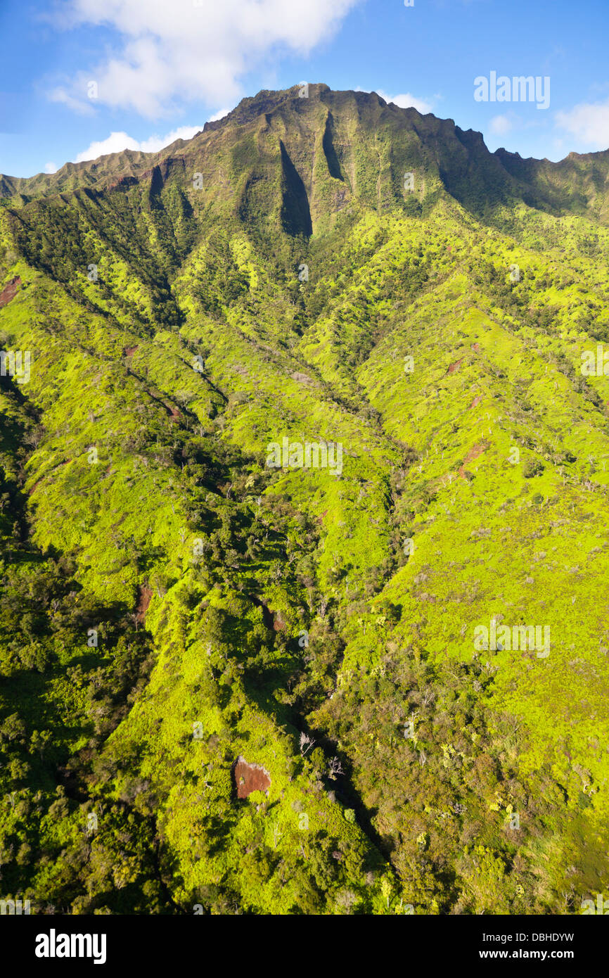 Superbe paysage forêt verte dans le centre de Kauai, Hawaii. Vue aérienne de l'hélicoptère. Banque D'Images
