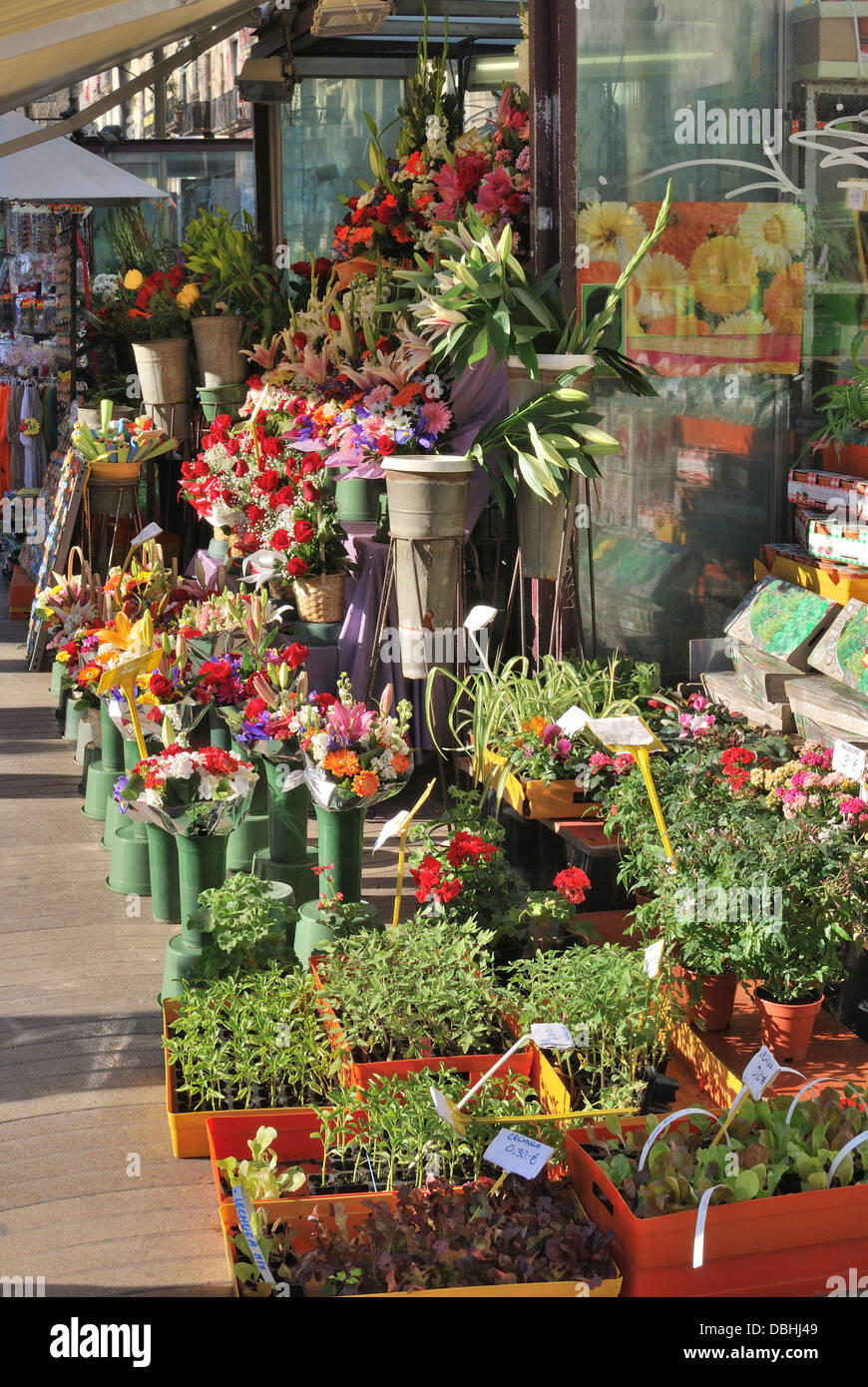 Affichage de fleurs et plantes sur le trottoir à l'extérieur à un fleuriste à Barcelone. La Catalogne. Espagne Banque D'Images