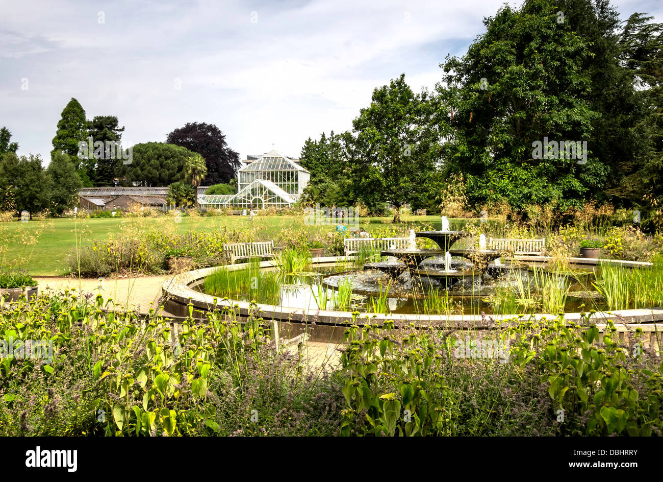 Jardin botanique de Cambridge, Angleterre Banque D'Images