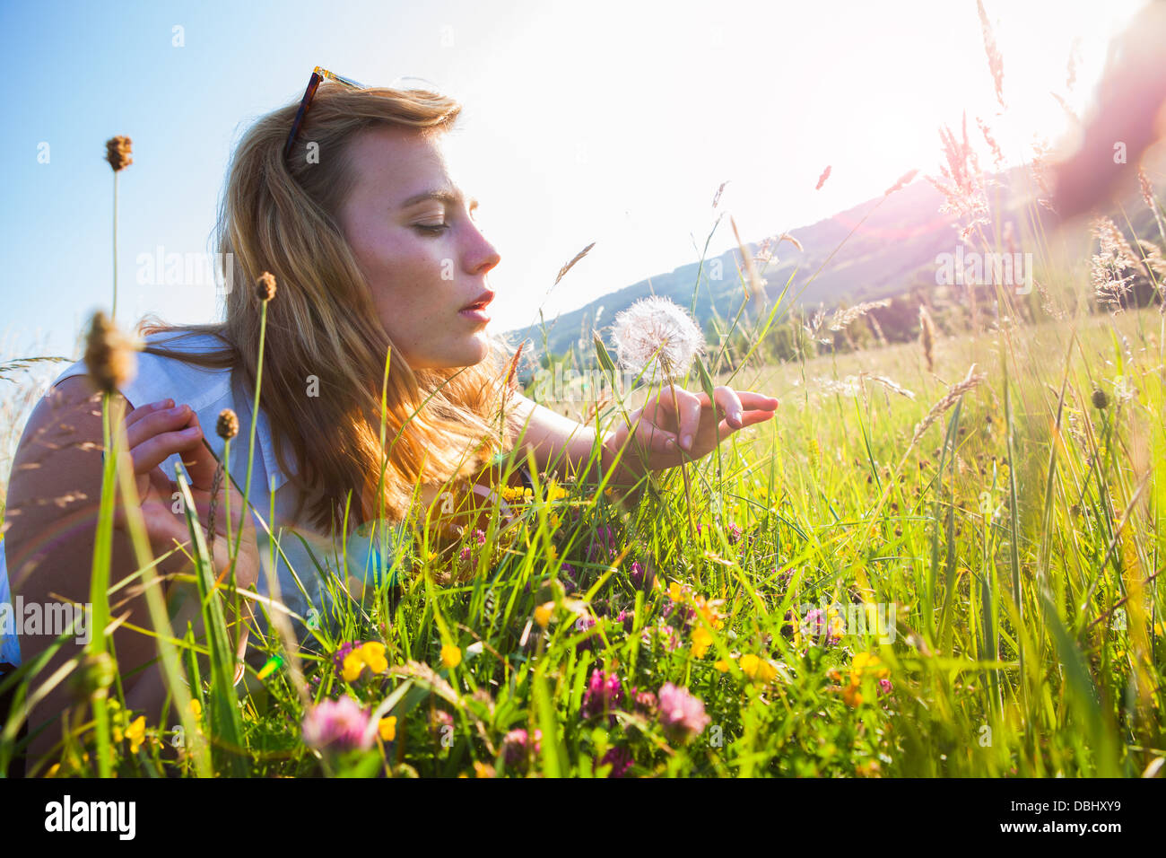 Teenage girl sitting in grassy field un souffle à un dandilion tête de semences. À l'extérieur. L'été. Banque D'Images