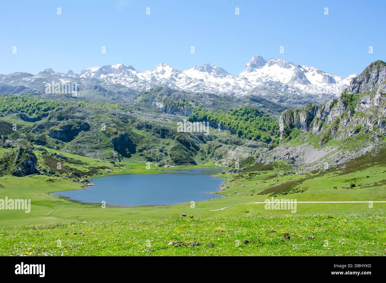 Lacs de Covadonga dans les Asturies , Espagne Banque D'Images