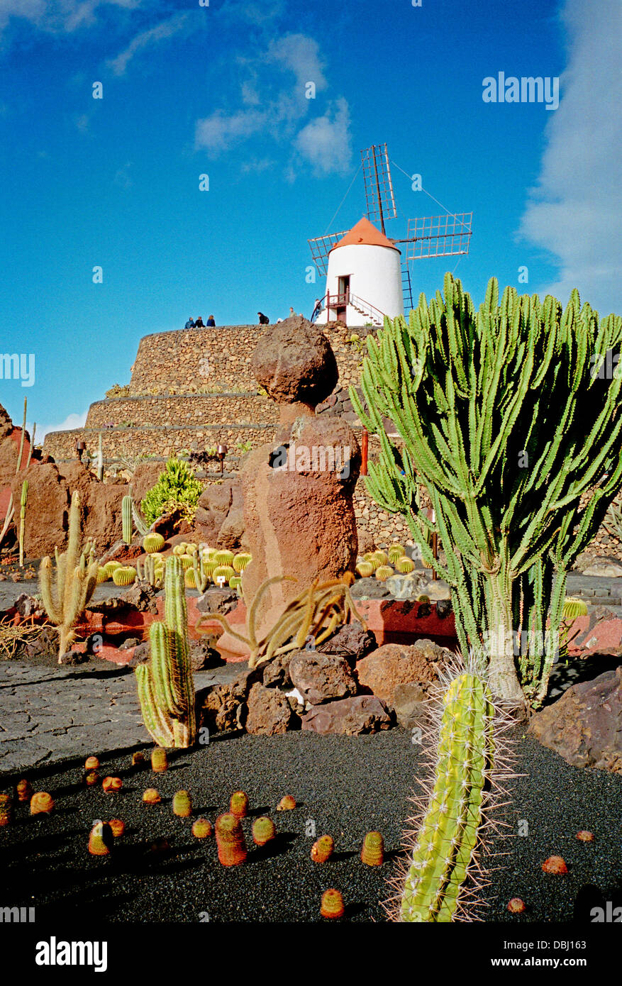 Le jardin de cactus sur l'île canarienne de Lanzarote conçu par Cesar Manrique Banque D'Images
