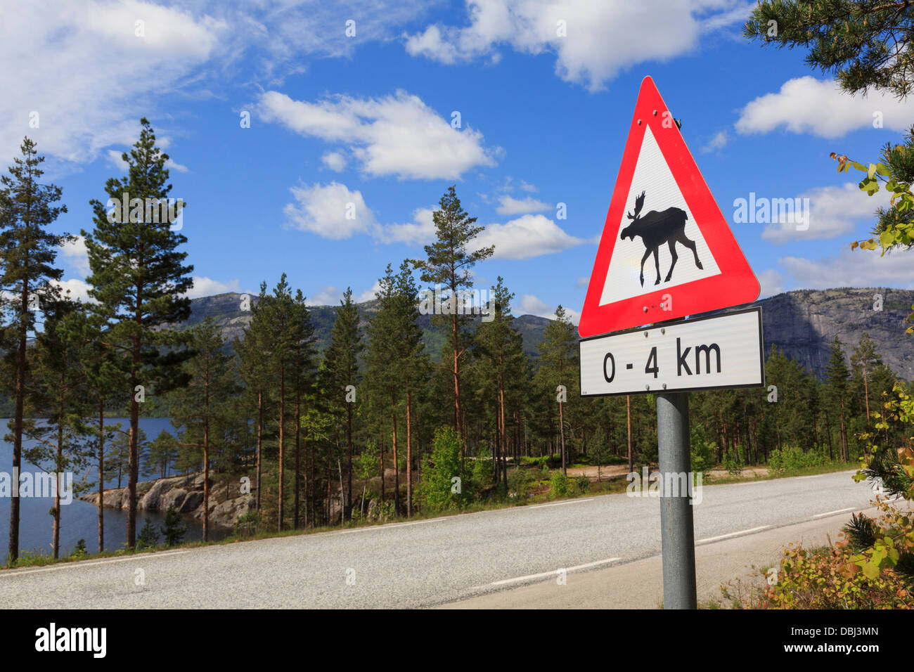 Triangle rouge panneau d'avertissement pour l'orignal ou élan sur la route 41 à travers la forêt autour de Nissedal, comté de Telemark, Norvège, Scandinavie Banque D'Images