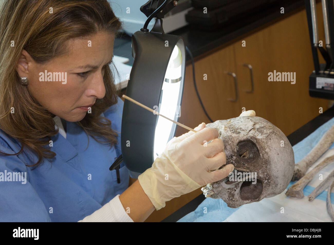Laboratoire de l'Université de Baylor travaille à identifier les restes de migrants inconnus qui sont morts à franchir la frontière du Mexique Banque D'Images