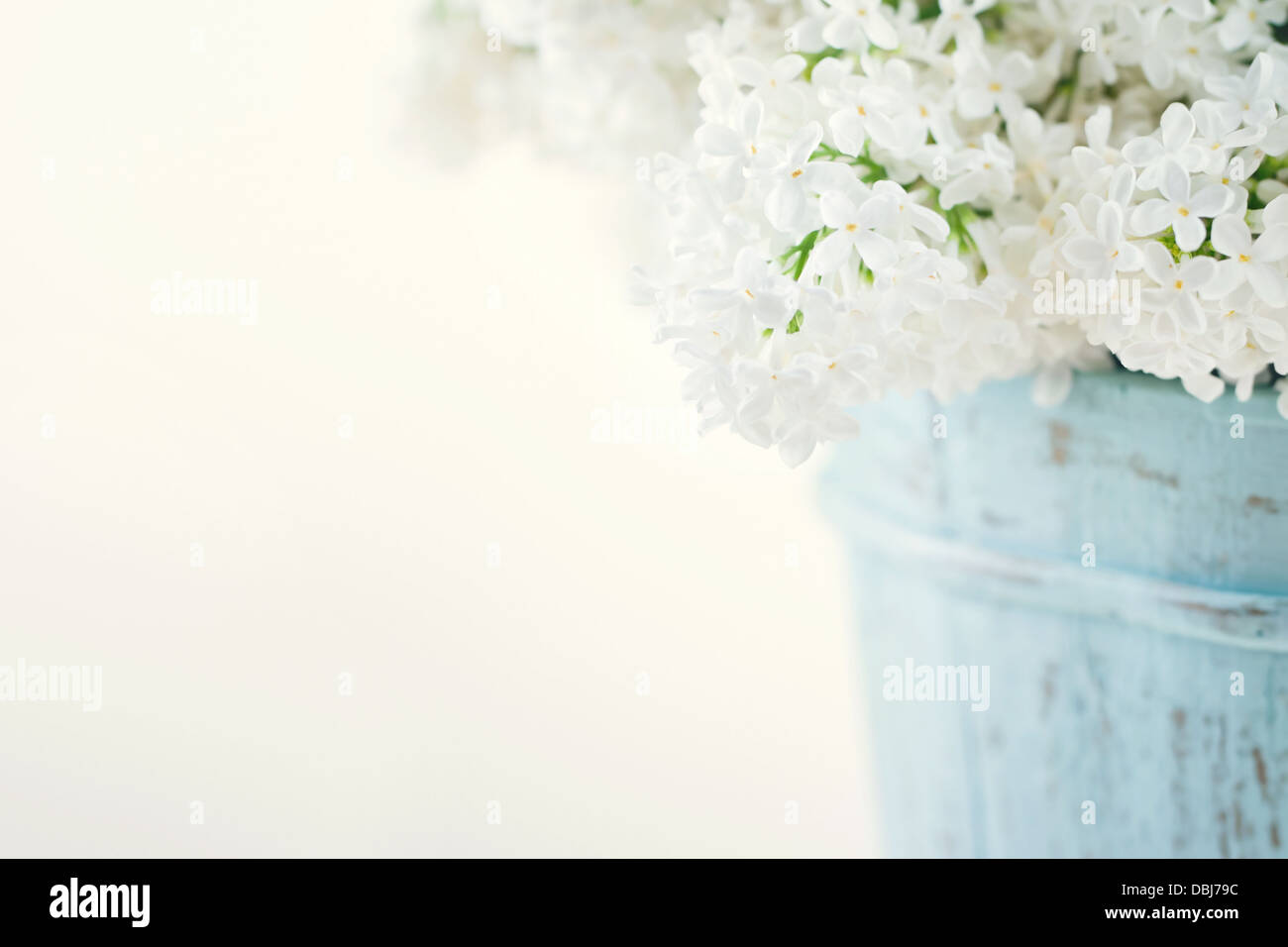 Bouquet de lilas blanc printemps des fleurs dans un vase bleu en bois clair sur fond shabby chic Banque D'Images