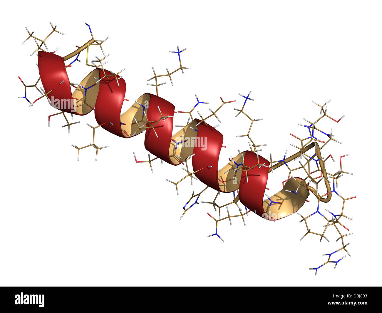 La calcitonine de saumon, hormone peptidique structure chimique. Utilisé dans le traitement de l'ostéoporose postménopausique et d'autres maladies. Banque D'Images