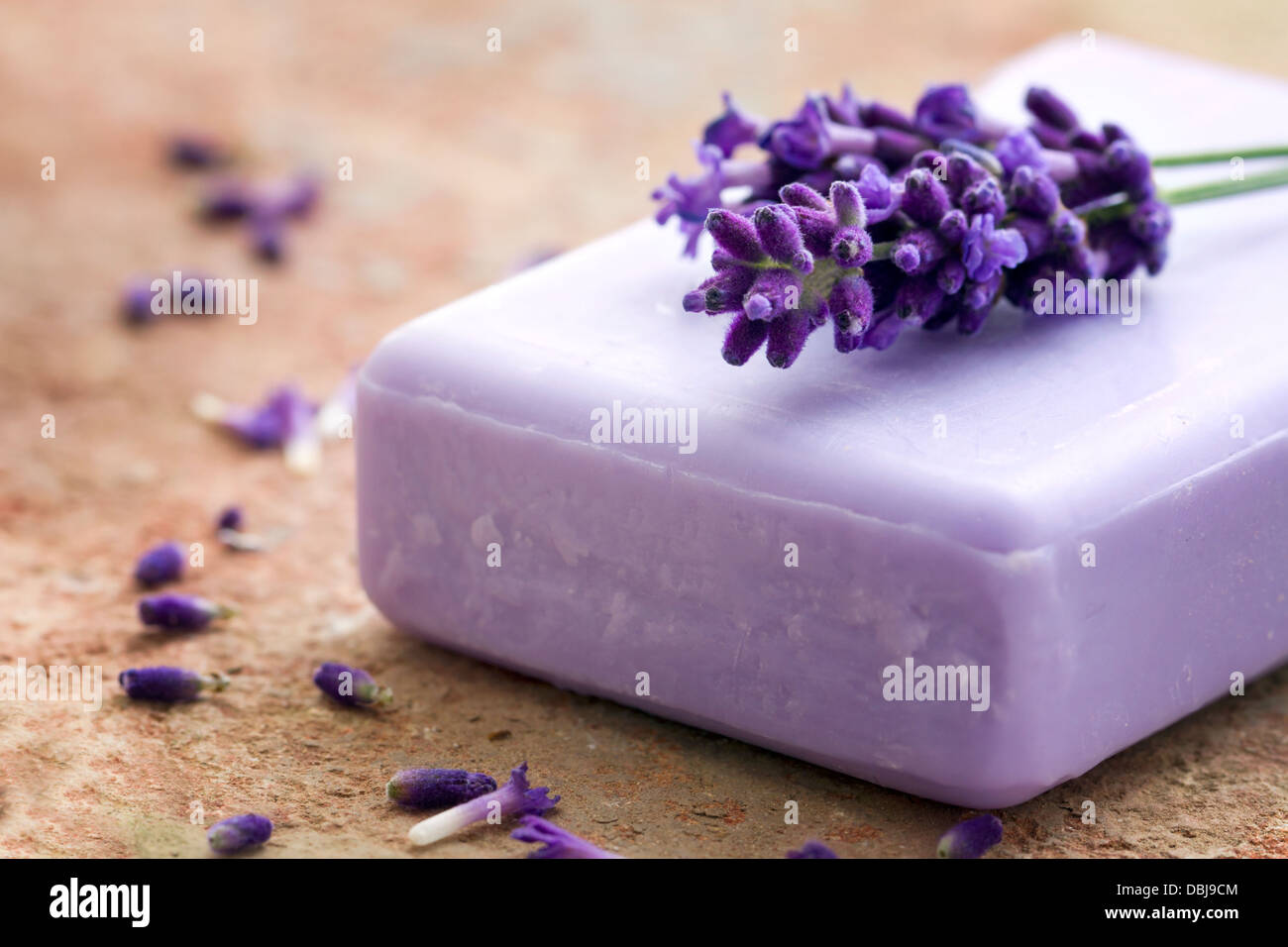 Bar de savon spa violet avec des fleurs de lavande fraîche sur fond rustique en terre cuite Banque D'Images
