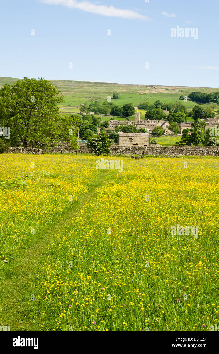 Avis de Wensleydale en été Banque D'Images