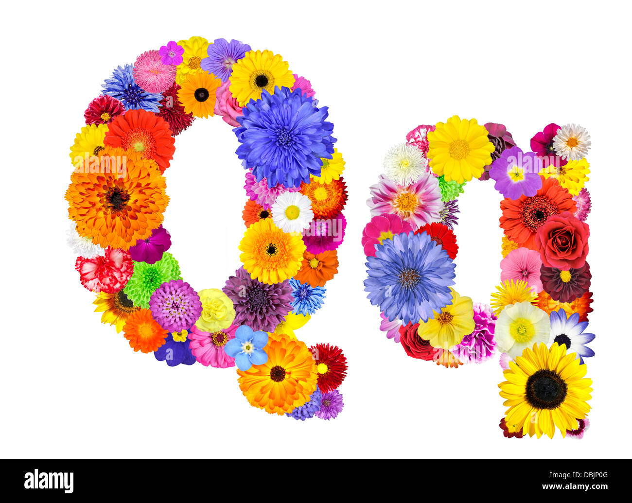 Lettre Q de l'Alphabet de fleurs isolé sur blanc. Lettre en de nombreuses fleurs colorées et originales Banque D'Images