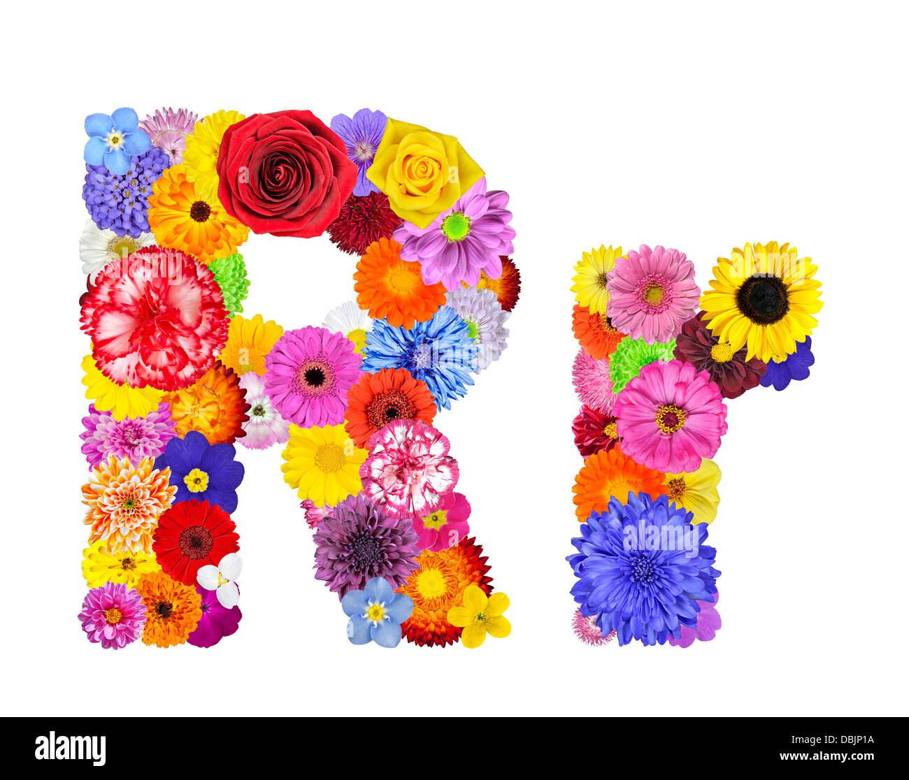 Lettre R de l'Alphabet de fleurs isolé sur blanc. Lettre en de nombreuses fleurs colorées et originales Banque D'Images