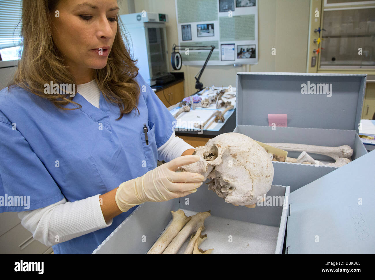 Laboratoire de l'Université de Baylor travaille à identifier les restes de migrants inconnus qui sont morts à franchir la frontière du Mexique Banque D'Images
