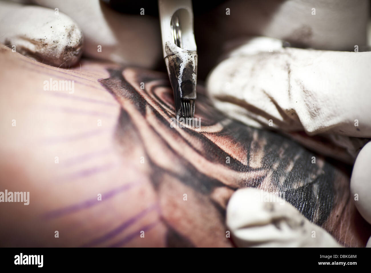 Rose Tattoo est encré par tatoueur Banque D'Images