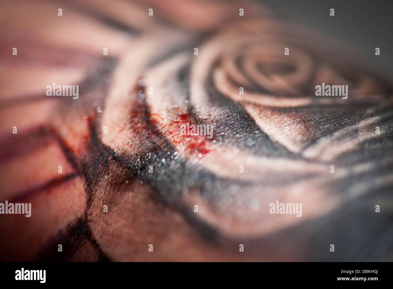 Rose Tattoo est encré par tatoueur Banque D'Images